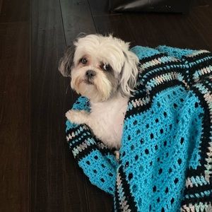 Meet your Posher, Brian